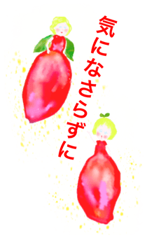 726240499