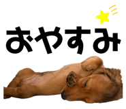 726255110