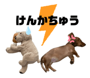 726255111