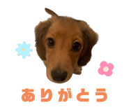 726255113