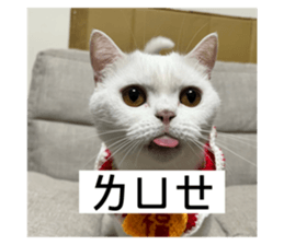 726258769