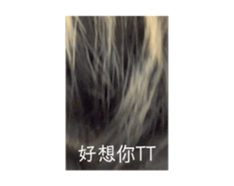 726267876