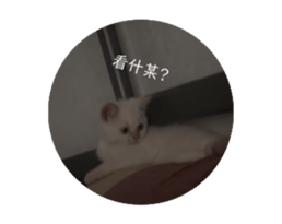 726268290
