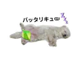 726297127