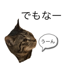 726302204