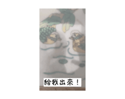 726323765