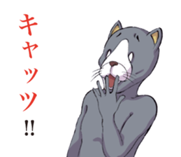 7263376