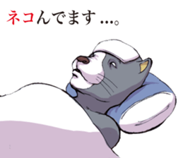 7263377