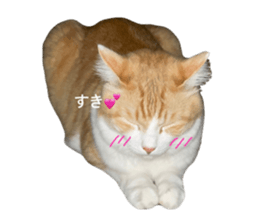 726340600