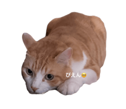 726340606