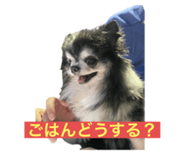 726346806