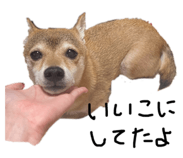 726348451