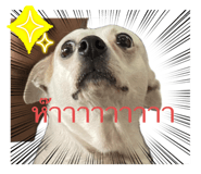 726419066