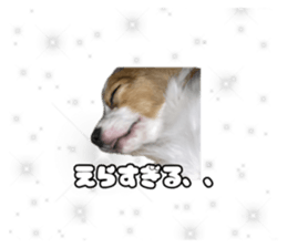 726441510