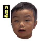 726461293