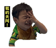 726461294