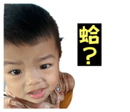 726461297