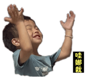 726461300