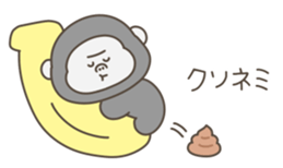 726464204