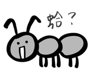 726471984