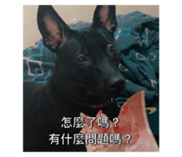 726472795