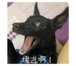 726472797