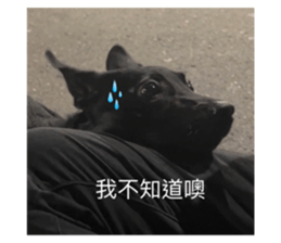 726472800