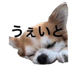 726498058