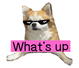 726498072