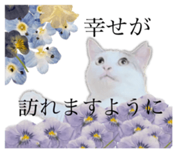 726500737