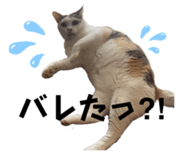 726500747