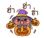 726508554