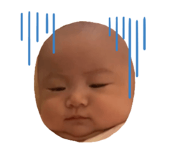 726512954