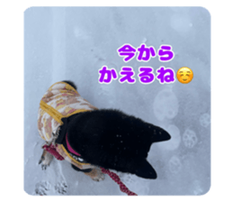 726530814