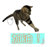 726539346