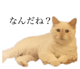 726553711