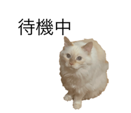 726553728