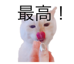 726553735