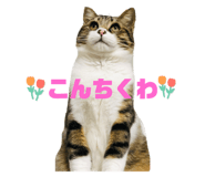 726555330