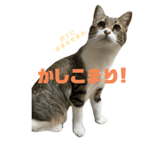 726555331