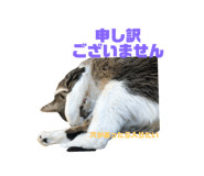 726555334