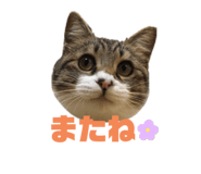 726555343