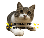 726555344