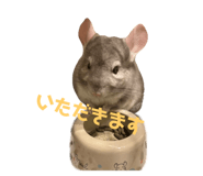 726556933