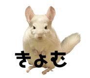 726556936