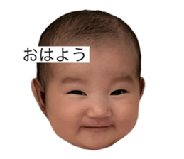 726569081