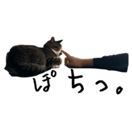 726584325