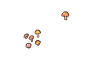 726607904