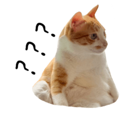 726608018