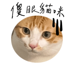 726608019